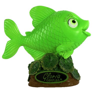 Glofish Cycle XL Gloria