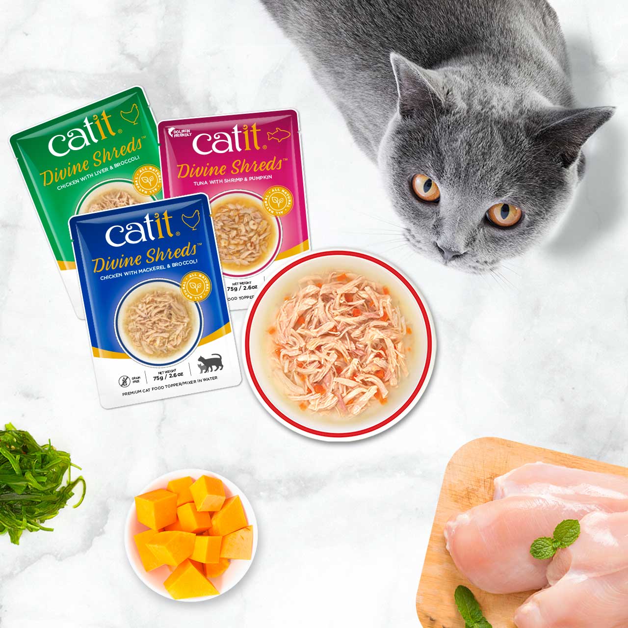 Catit Dinner